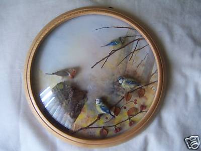 Bluetits (7-inch)